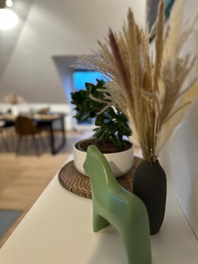 Oasis Appart - Wohnen Am Elbtal - Balkon - Netflix - Tiefgarage Dresda Esterno foto