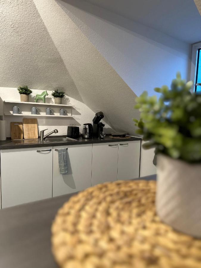 Oasis Appart - Wohnen Am Elbtal - Balkon - Netflix - Tiefgarage Dresda Esterno foto