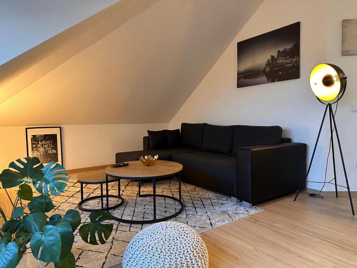 Oasis Appart - Wohnen Am Elbtal - Balkon - Netflix - Tiefgarage Dresda Esterno foto