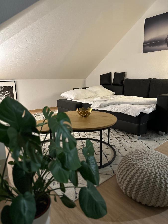 Oasis Appart - Wohnen Am Elbtal - Balkon - Netflix - Tiefgarage Dresda Esterno foto